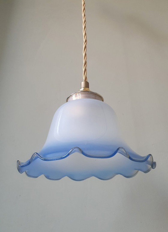 Image 1 of Vintage frosted glass pendant lamp in floral shape.