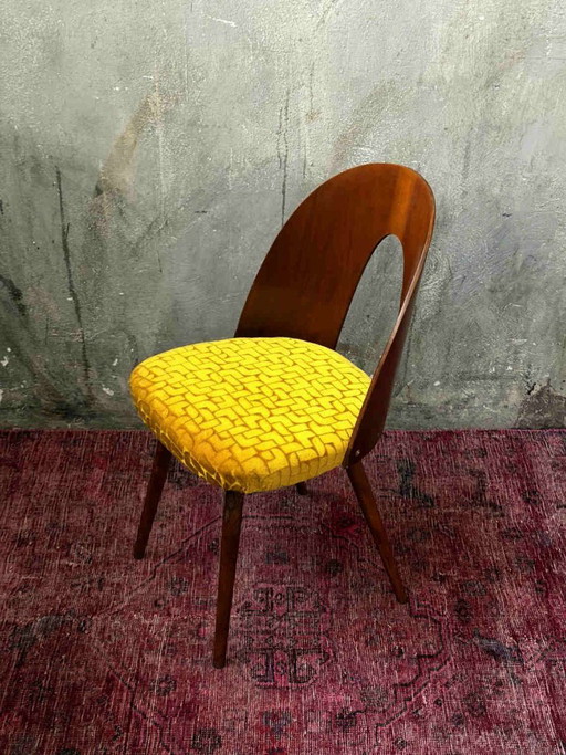 1/16 Antonín Šuman Chair 1967 for MIER Topoľčany, Mid Century Chair Walnut, Restored and reupholstered – eetkamerstoelen