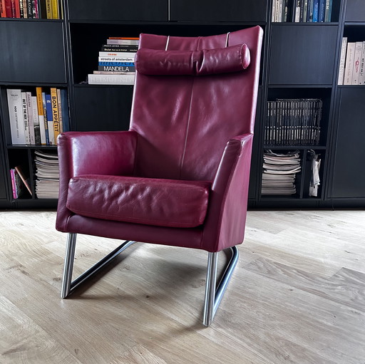 Montis Madonna Design Sessel Bordeaux Rot