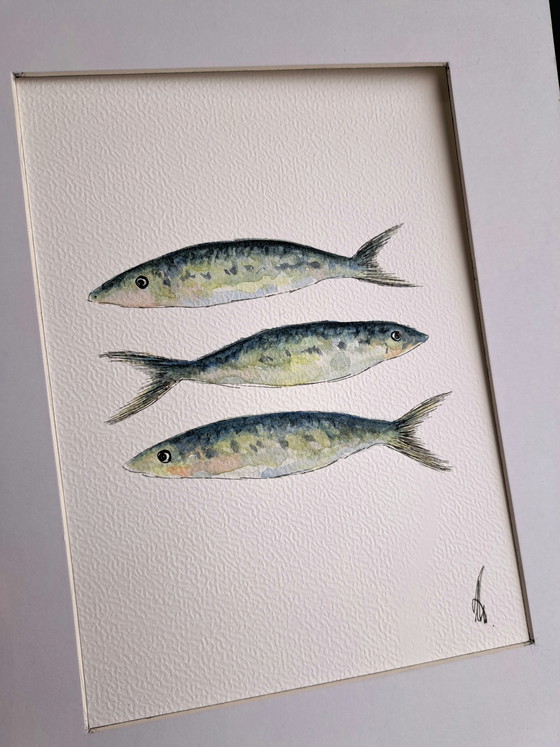 Image 1 of Acuarela de sardinas, original enmarcada.