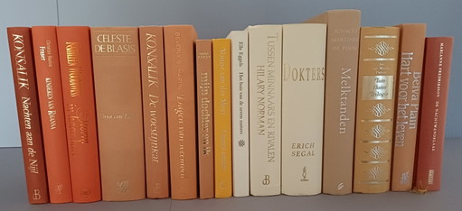 Niederländische Romanbibliothek | 15 dekorative Hardcover | Familie, Liebe & Lebensgeschichten | 046