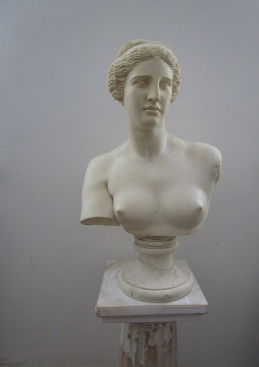 Antieke buste, Aphrodite?