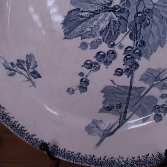 Piatto antico U & C Sarreguemines modello Currants – Stoviglie, Porcelain, Vintage (photo 4 of 7)