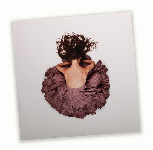 Alexander Ivashkevich - Flower