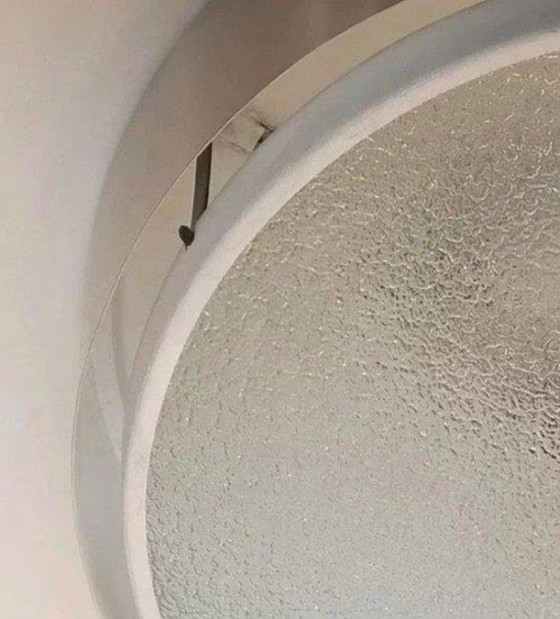 Image 1 of RAAK Amsterdam set of ceiling lamps (P1464)