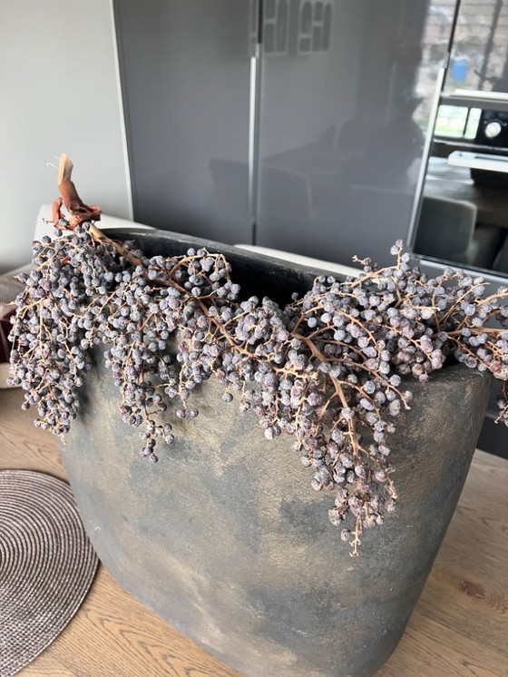 Image 1 of Pot Intratuin