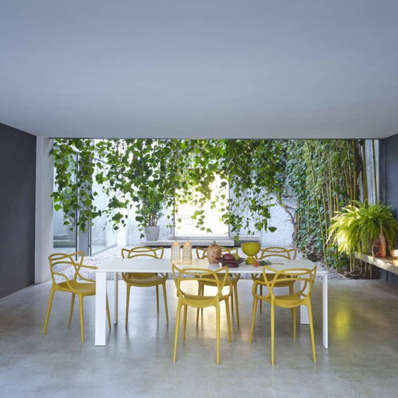 Kartell Masters Chair Mustard Yellow – Dining chairs, Plastic (photo 5 of 5)