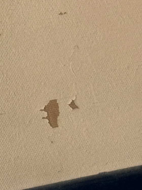 Image 1 of Michael Gorban