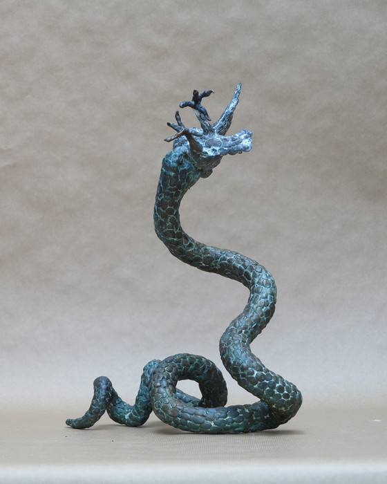 Image 1 of Honere Didden.vie et mort serpent et oiseau