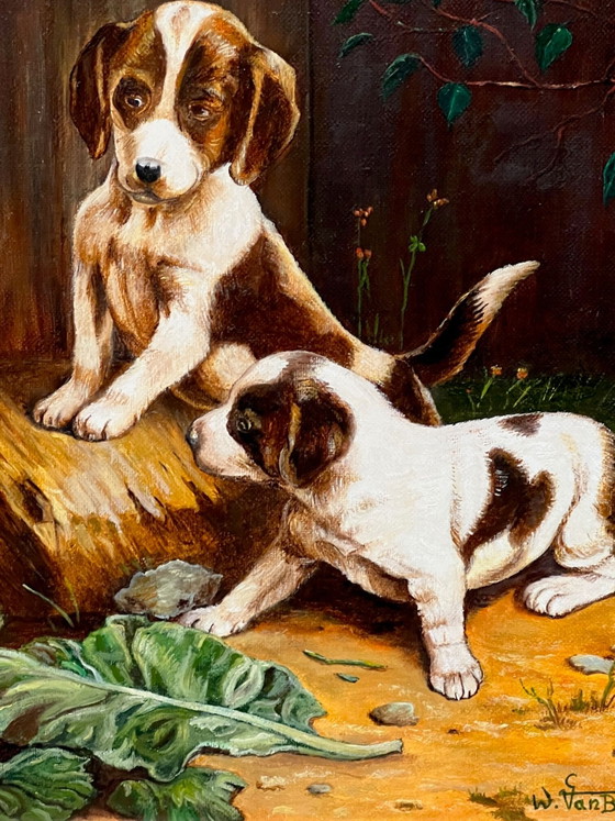 Willy van Buyten (born 1935-). Painting "Surprise". Oil on canvas. – Paintings & Drawings (photo 4 of 8)