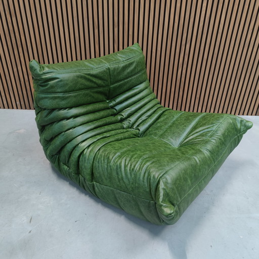 Ligne Roset Togo - eenzits - groen naturel leder