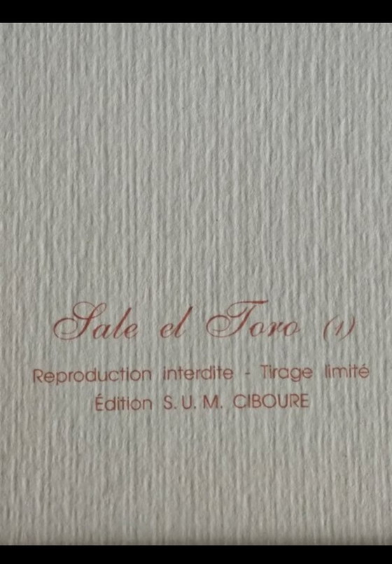 Image 1 of Sale el Toro frame, Monzón