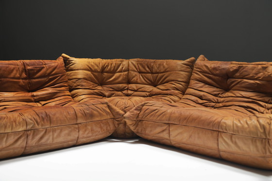 Image 1 of Perfect Rich Patinated Togo in Original Natural Leather by Michel Ducaroy - Ligne Roset