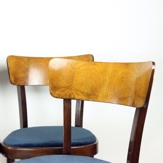 Image 1 of Ensemble de quatre chaises de salle à manger Tatra, Tchécoslovaquie, années 1950