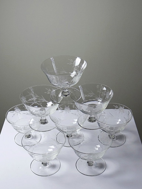 Image 1 of 8 Champagne coupes, wheel-engraved glass with vegetal decoration, Bohemia, early 20th century