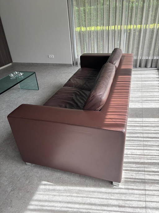 Poltrona Frau Massimo Sofá 3 plazas piel de becerro marrón oscuro