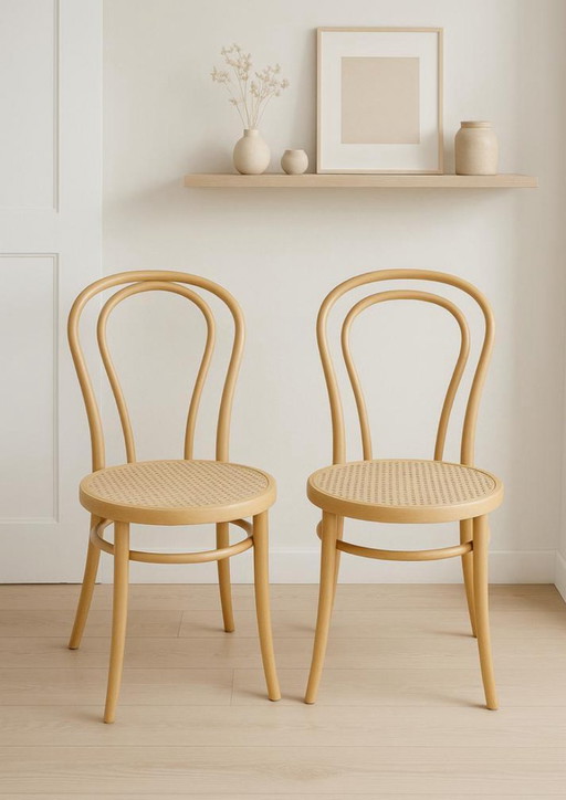 Aspetto vintage Thonet ZPM Redomski