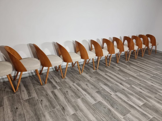 Image 1 of Dining Chairs from Antonin Suman, set of 12