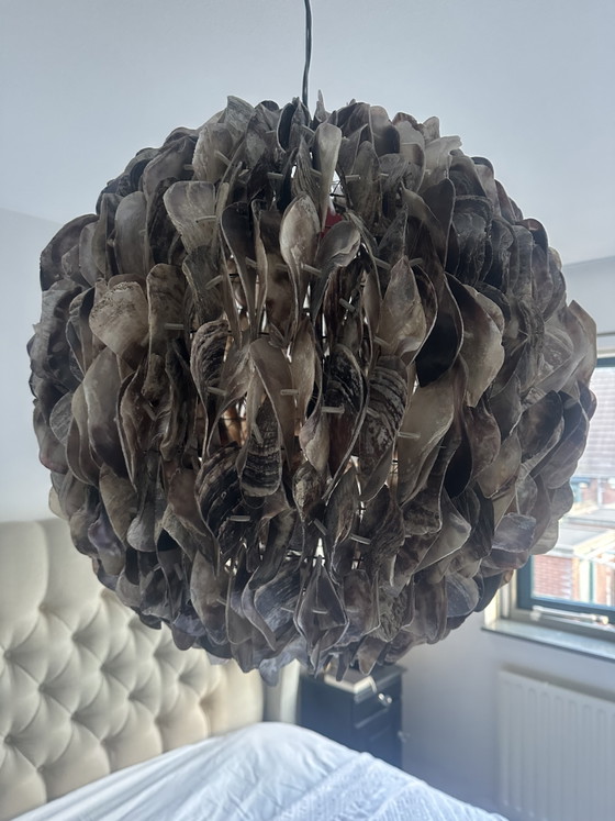 Image 1 of Grande suspension exclusive en coquille d'huître (Woonwinkel Hillegersberg)