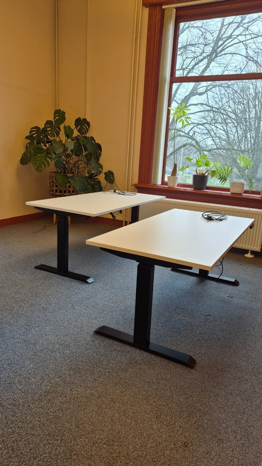 Two sit-stand desks, electrically adjustable, 2-motor, Bosch