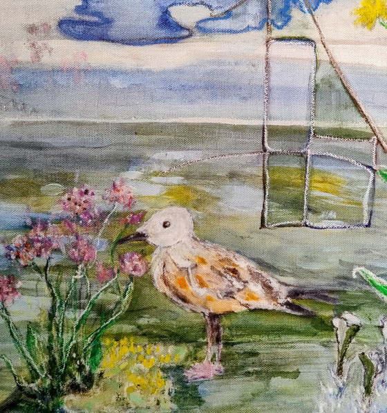 Image 1 of Gaviota joven