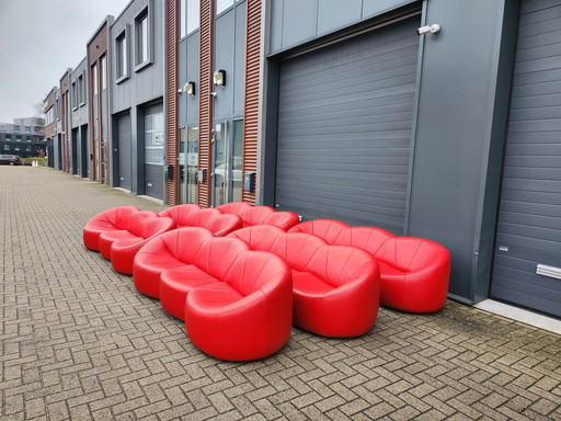 Ligne Roset - (6) pumpkin 3-zitsbank by Pierre Paulin