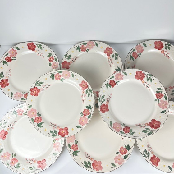 Image 1 of Set di 8 piatti grandi Cameo Florals Malaysia porcelain,1970-90