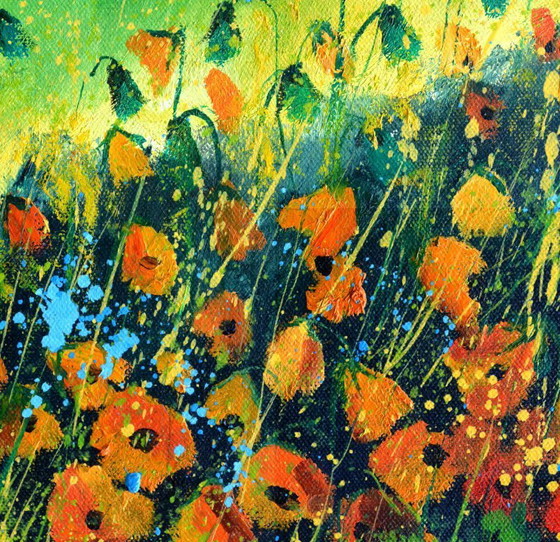 Image 1 of Poppies