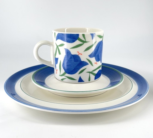 Arabia Finlandia Moreeni Balladi Diseño de Heikki Orvola Taza, Platillo y Plato