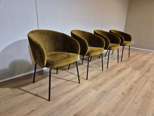 4x Modelos de exposición Sillas de comedor Montel Tune - Terciopelo - Tela - Diseño