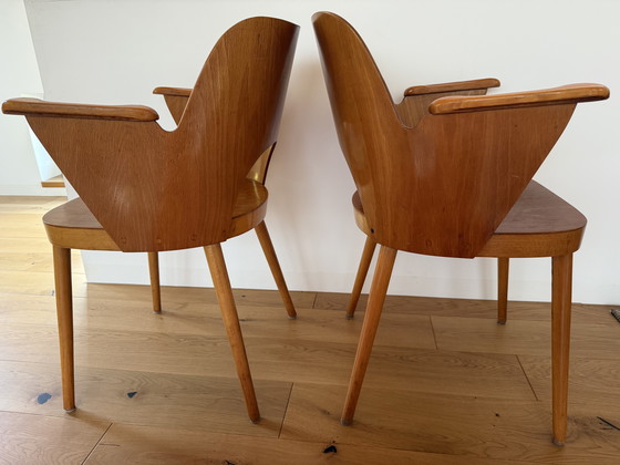 Image 1 of 2x Oswald Haerdtl, Modell 1515, Thonet, 50‘er Jahre, Mid Century