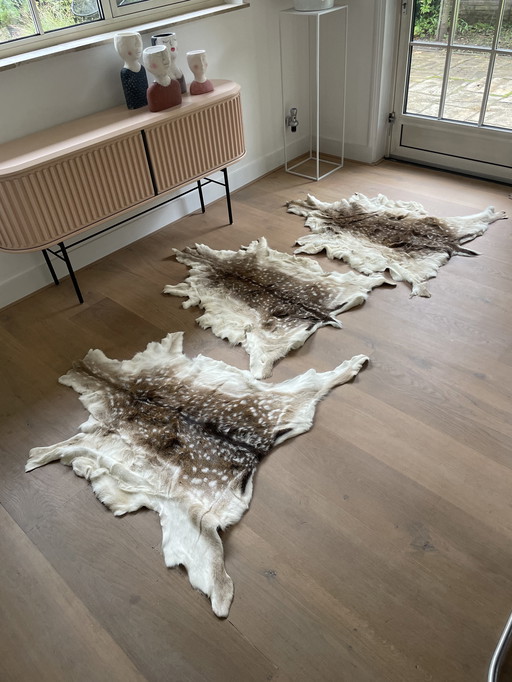 Damhertenhuiden wintervacht