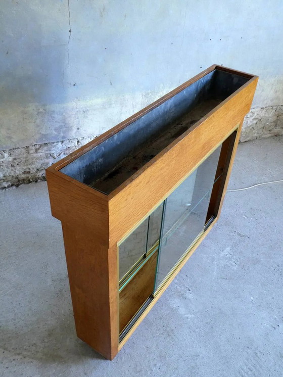 Verlichte plantenbak vitrine uit de jaren 50 – Glas, Vintage (photo 12 of 13)
