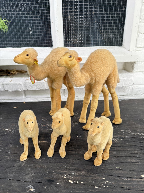Image 1 of Zeldzame Steiff kameel familie – 5 stuks – met originele labels – ca. 1960/70