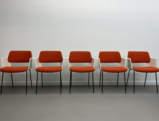 5 sedie Modello 2225 André Cordemeyer Gispen anni '70