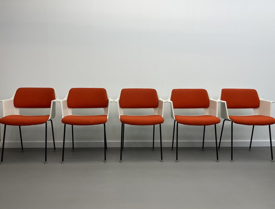 Image 1 of 5 sedie Modello 2225 André Cordemeyer Gispen anni '70