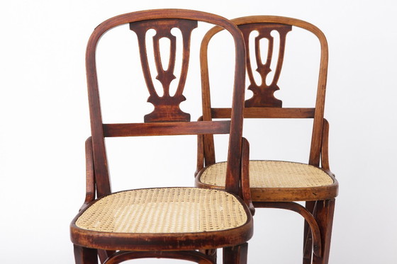Image 1 of Set of 2 Vintage Bentwood Dining Chairs | Austria 1930s–50s | Beechwood, New Woven Cane Seats