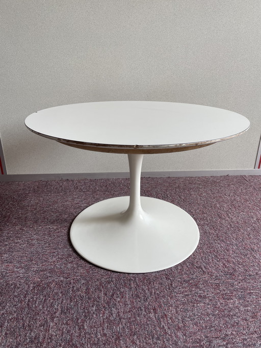 Table basse tulipe blanche