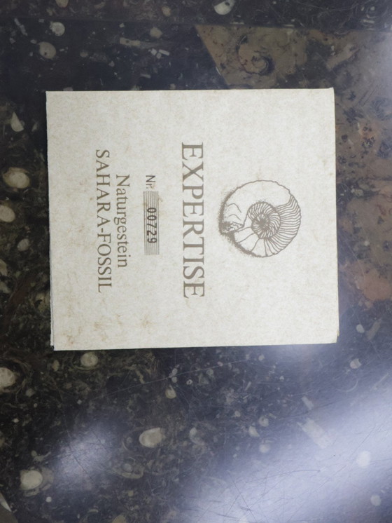 Image 1 of Vintage coffee table Laauser Natural stone fossil