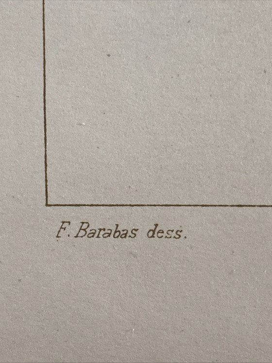 Image 1 of 20 auténticos diseños de carpintería Art Nouveau