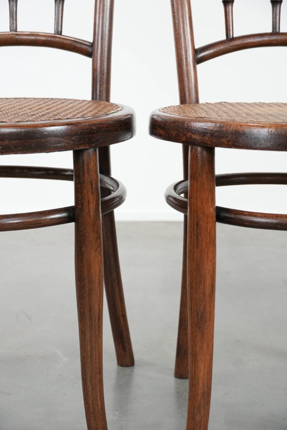 Image 1 of 2 x Wooden vintage bistro chair Jacob & Josef Kohn Wien with a wicker seat