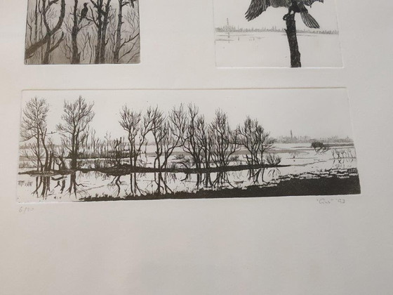 Image 1 of Ans van der Zweep-Heijmen Etching compilation - Cormorants in the Gelderland landscape
