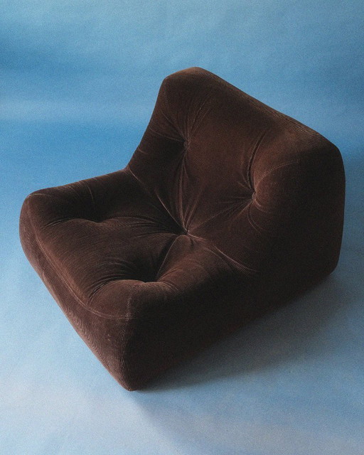 Canapé Kali marron Michel Ducaroy Ligne Roset