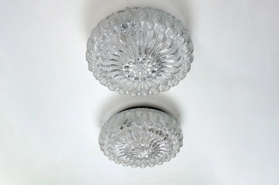 Molded Bubble Glass Flush Mount Ceiling Light, Metal (photo 3 of 8)