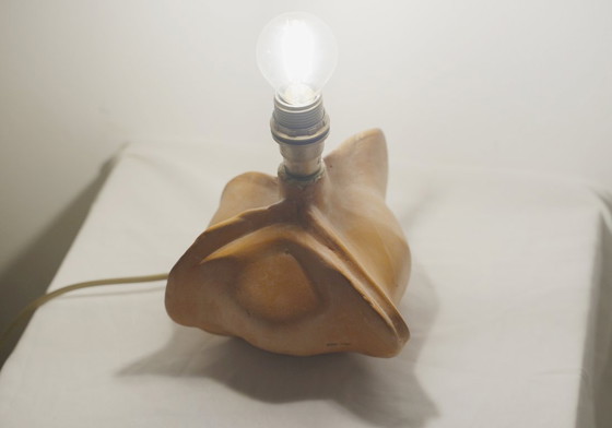 Image 1 of Lámpara de cerámica Tim Orr con base de terracota biomórfica, lámpara de mesa orgánica escultural