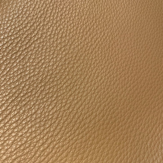 Image 1 of Leolux Cantate Sessel