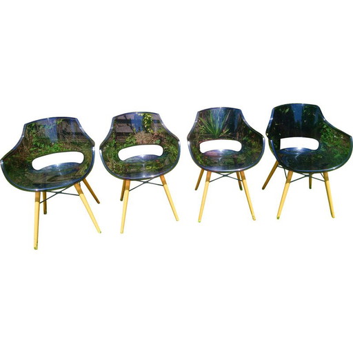 Set of 4 vintage Opal Wox chairs in polycarbonate and beech legs