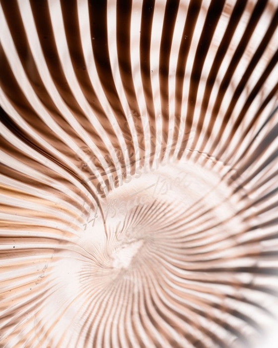 Image 1 of Rosenthal Glasstudio Filigrana Vase Duo – Mario Colelli & Hertha Bengtson · Limited Edition Art Glass, Germany