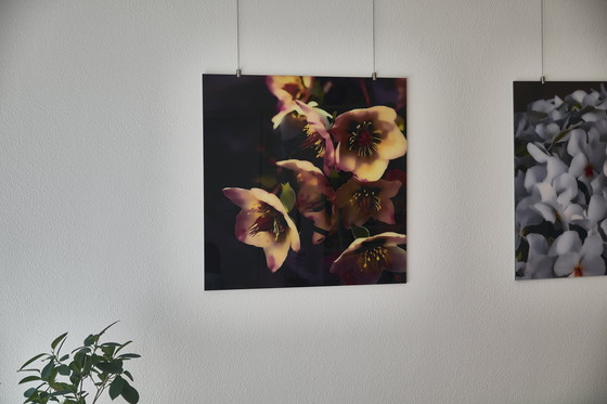 Image 1 of Splendore floreale