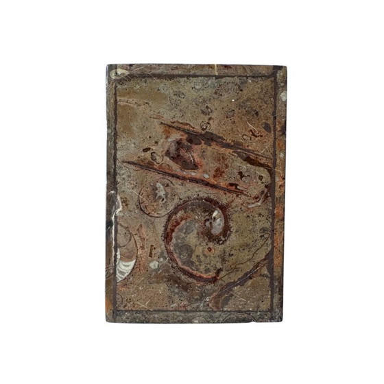 Image 1 of Scatola portagioie o scatola di fossili unica nel suo genere il segreto del marmo Orthoceras - Naturally Chic